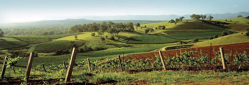 Wine Tours Hunter Valley