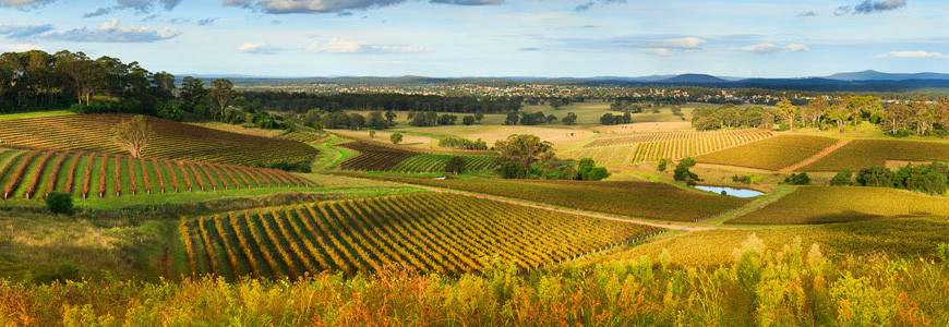 Wine Tours Hunter Valley