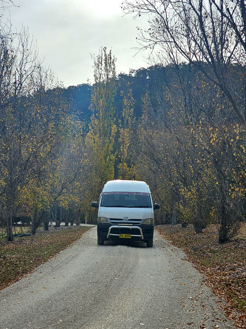 Wine Tours Hunter Valley