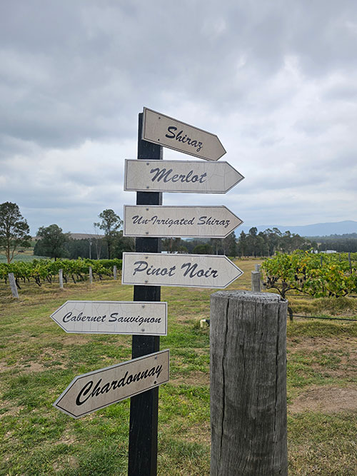 Wine Tours Hunter Valley